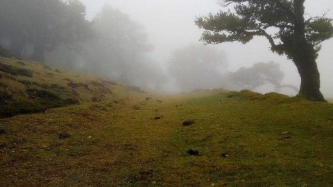 皇家社会主场遗憾落败，那不勒斯凭世界波带走胜利