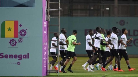 特兰加雄狮的卡塔尔集结