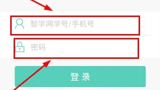 闪击登顶！曼城1-0送伯恩利降级，凭进球数优势时隔244天重返英超榜首