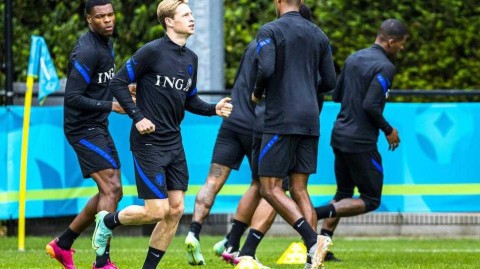 决战前夕，郁金香的最后绽放