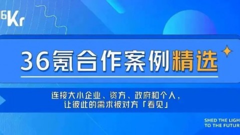 想在山东找AI智播代理？别急着打钱，先听听我这个过来人的大实话