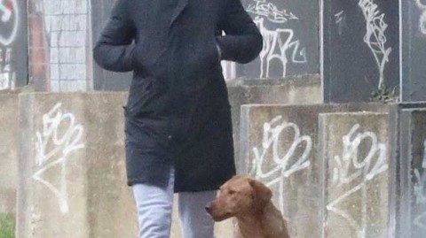 吉格斯街头遛狗购物，昔日红魔传奇的惬意午后