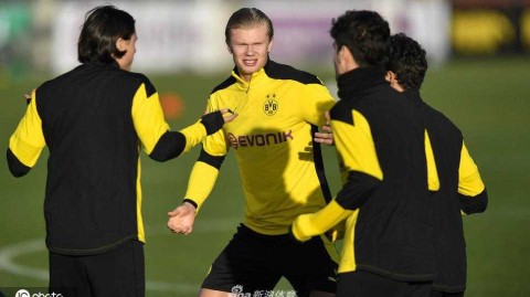 大黄蜂蛰伏待机 欧冠激战前夜多特蒙德最后一练