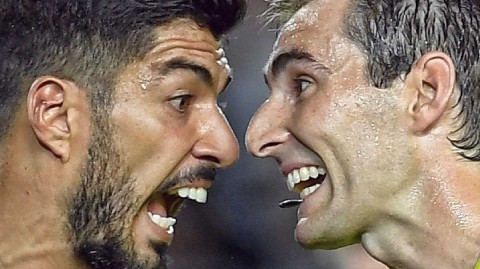 绿茵场上的咆哮：当球星与裁判“脸贴脸”，情绪管理为何成了世界难题？