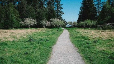 当足球巨星化身超级英雄：绿茵场上的正义联盟与X战警