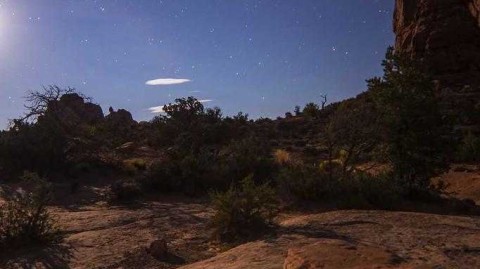 红黑情深，共许白头：安东尼奥·唐纳鲁马盛大婚礼纪实