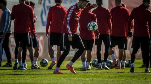 欧冠生死战前：葡媒称本菲卡训练气氛凝重，期待主场绝地反击