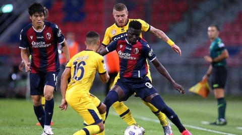 意甲：索里亚诺两射一传，博洛尼亚主场四球大胜帕尔马