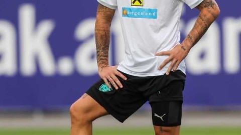 维也纳盛夏的足球脉动：奥地利国家队全力冲刺世预赛