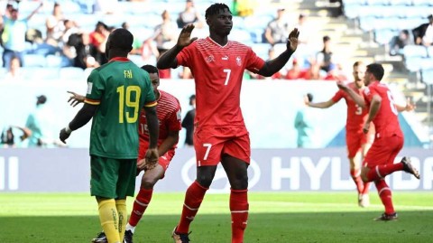 世界杯赛场上的乡愁瑞士军刀喀麦隆灵魂