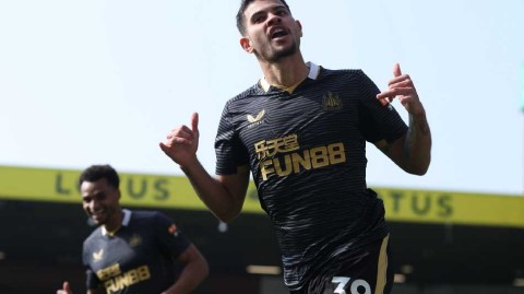 喜鹊展翅高歌猛进 金丝雀黯然坠落