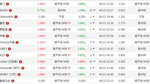 德乙第30轮：沙尔克04主场4-1大胜明斯特，10轮不败领跑冲甲在望