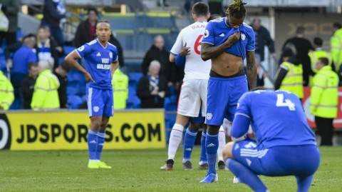 英超降级悲剧落幕：卡迪夫城不幸降级，水晶宫再演“送行”角色