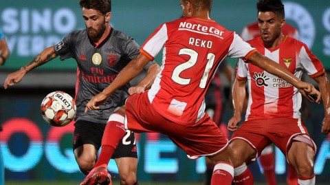 葡超倒计时：本菲卡完美收官，艾维斯悲情告别