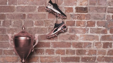 蓝月传奇定格优雅瞬间