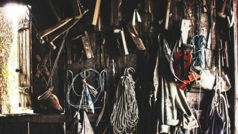 斯坦福桥的蓝桥遗梦：若日尼奥点射破局 切尔西三球大胜伯恩利