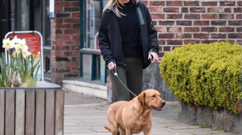 独行光影：绿荫之外的静谧时刻