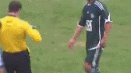 球场奇葩事件簿：当“青铜”队友开始表演，裁判都懵了