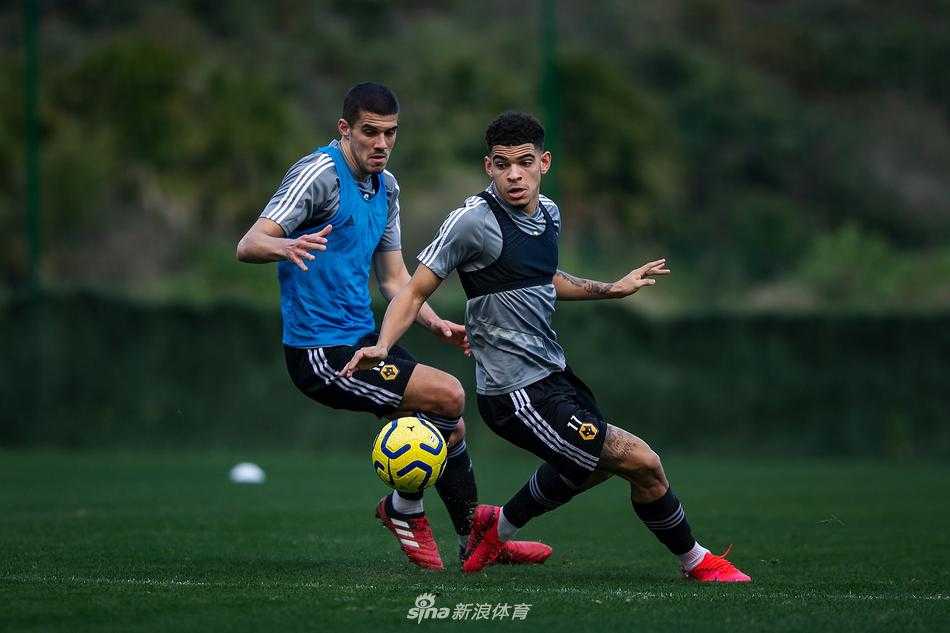 狼队中后场球员在进行防守站位练习，他们的眼神坚毅，防线如铜墙铁壁般难以逾越。