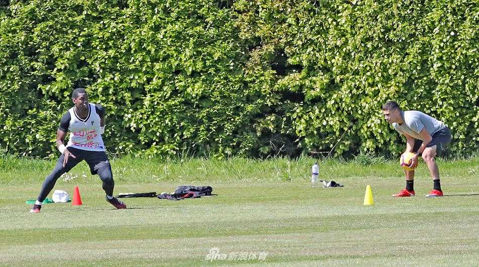 从空中俯瞰整个板球场训练区域，被临时划分成多个小块训练场，球员们分散在各处进行不同的科目，井然有序地遵循着防疫期间的社交距离规范。